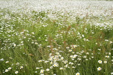 Similar image 22141916