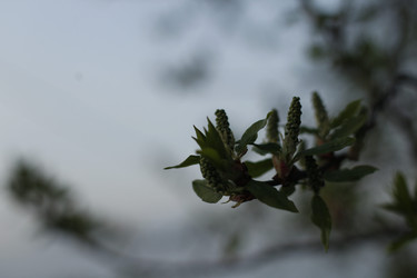 Similar image 22137107