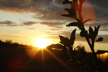 Similar image 22135360