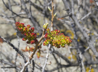 Similar image 22134869