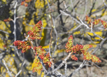 Similar image 22134870