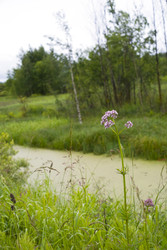 Similar image 22141559