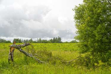 Similar image 22141560