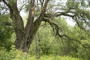 Similar image 22141561