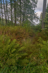 Similar image 22141562