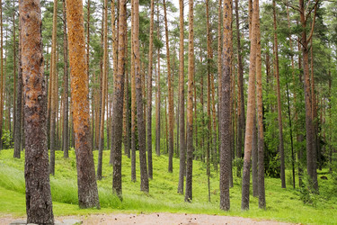 Similar image 22141564