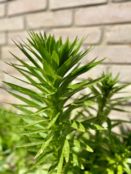 Similar image 22134877