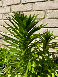 Similar image 22134878