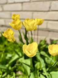 Similar image 22134879