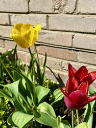 Similar image 22134880