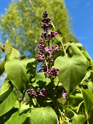 Similar image 22134881