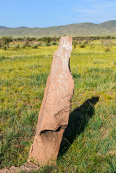 Similar image 22135081