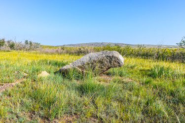 Similar image 22135085