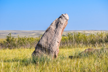 Similar image 22135089