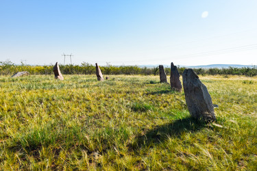 Similar image 22135090