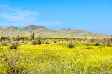 Similar image 22135091