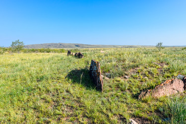 Similar image 22135096