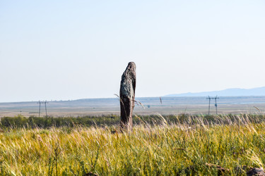 Similar image 22135097