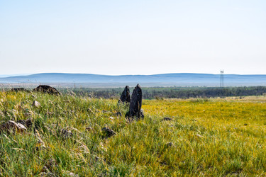 Similar image 22135098