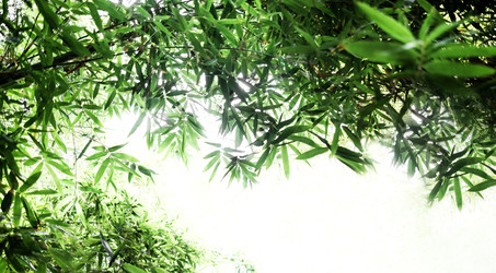 Similar image 22139797