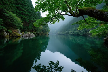 Similar image 22134887