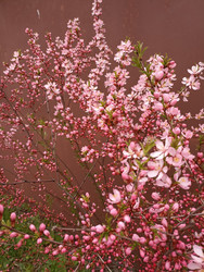 Similar image 22135362