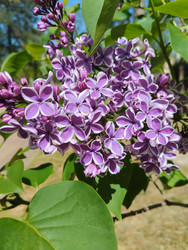 Similar image 22137546