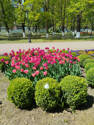 Similar image 22137547