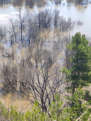 Similar image 22134895