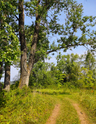 Similar image 22134896