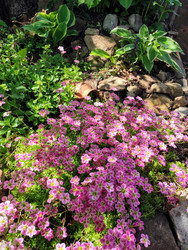 Similar image 22134897