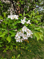 Similar image 22134899