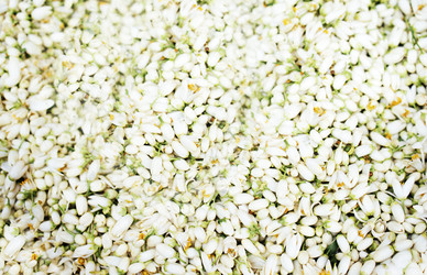 Similar image 22139815