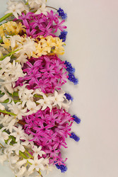 Similar image 22135104