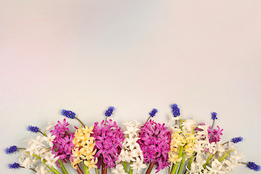 Similar image 22135105