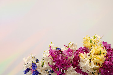 Similar image 22135108