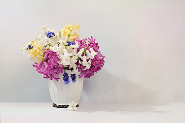 Similar image 22135113