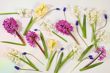 Similar image 22135116