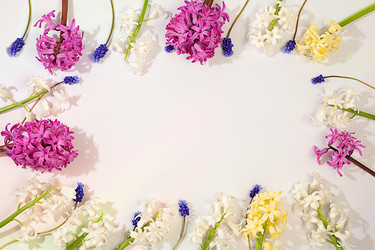 Similar image 22135118