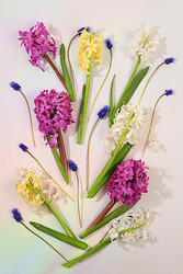 Similar image 22135119