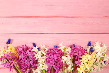 Similar image 22135121