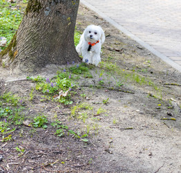 Similar image 22136525