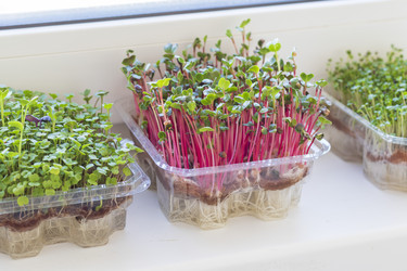 Similar image 22136527