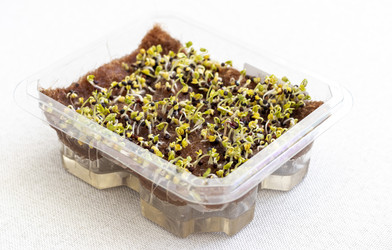 Similar image 22136529