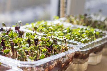 Similar image 22136530