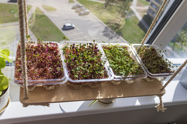 Similar image 22136532