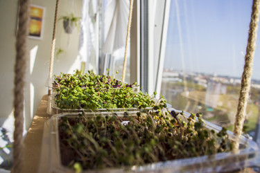 Similar image 22136535