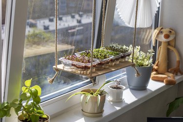 Similar image 22136536