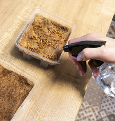 Similar image 22136065