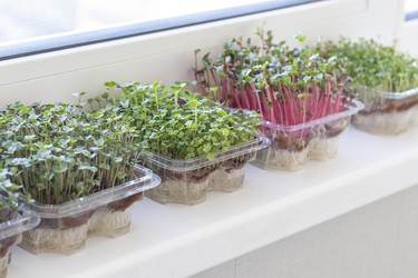 Similar image 22136070